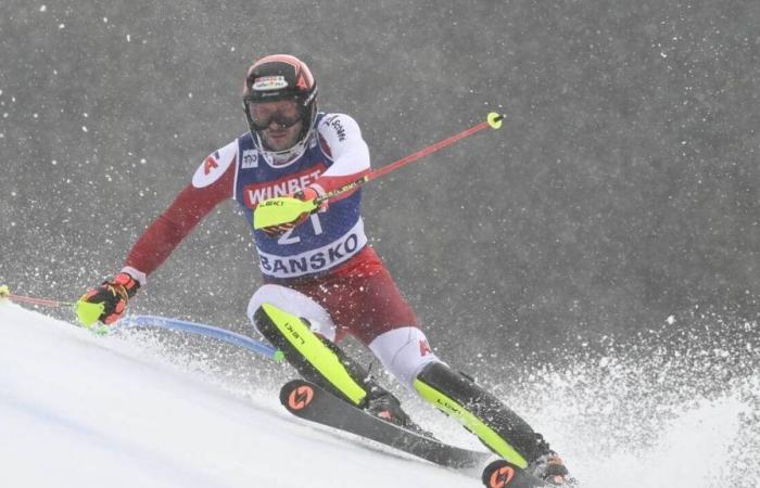 Alpine skiing. A new partnership signed to raise awareness of climate change