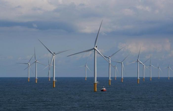 Offshore wind: Belgium lacks space in the North Sea, says WWF