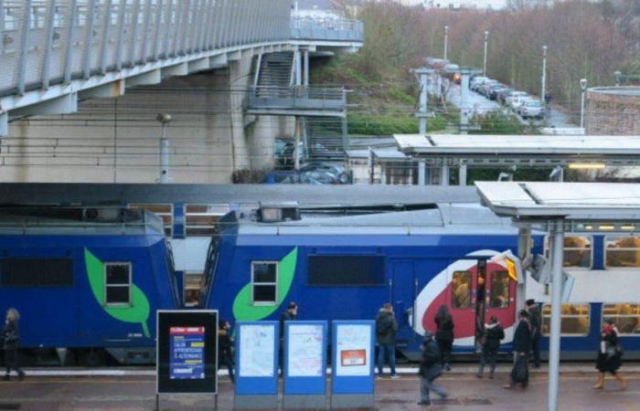 Seine-et-Marne: the clash between rappers causes brawls between Moissy and Combs gangs