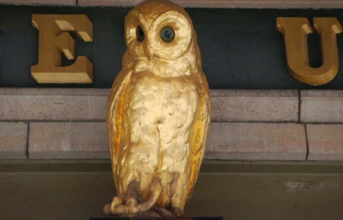 The riddle of the Golden Owl solved after 31 years of treasure hunting