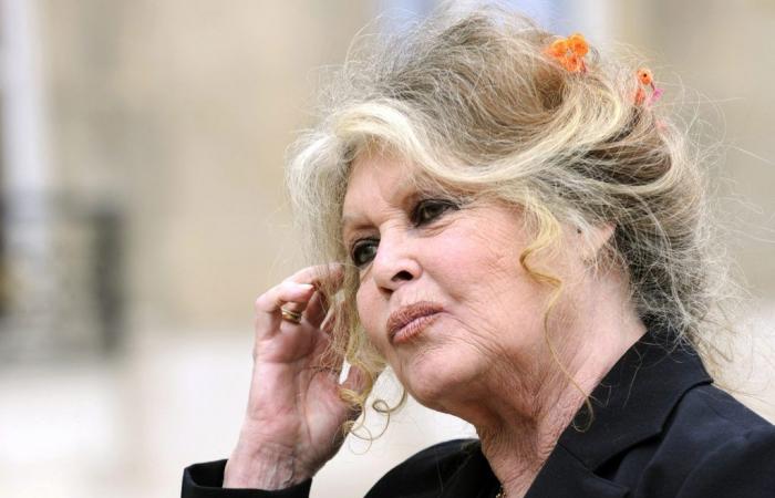 why did Brigitte Bardot play a role in the creation of the NGO?