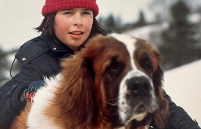 “The War of the Tuques” is 40 years old: 5 things you (probably) didn’t know about the famous family film