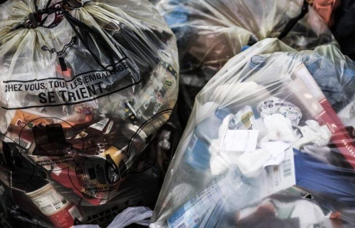 In France, 30% less waste in landfills since 2010 – Libération