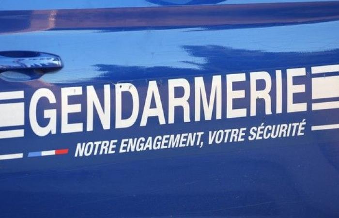 Maine-et-Loire: death of a retired couple after being hit by a car – LINFO.re