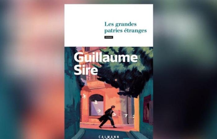 The Great Strange Homelands, by Guillaume Sire: the miracle child