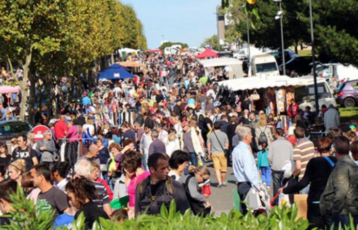 Considered the largest in Ille-et-Vilaine, this sale takes place this Sunday near Rennes