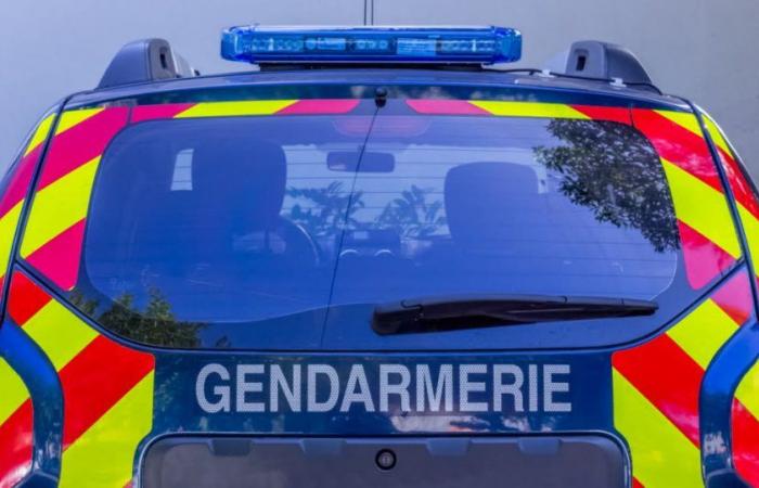 Isère. A fight between homeless people escalates: a suspect arrested