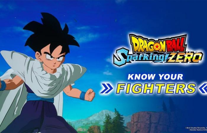 DRAGON BALL: Sparking! ZERO: Know Your Fighters!