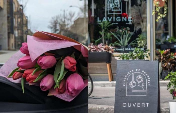 Lavigne Fleuriste takes root in a new address in the heart of a Market that you know well