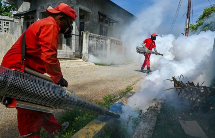 WHO launches global fight against dengue