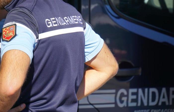 called to an attempted burglary, gendarmes are attacked upon their arrival