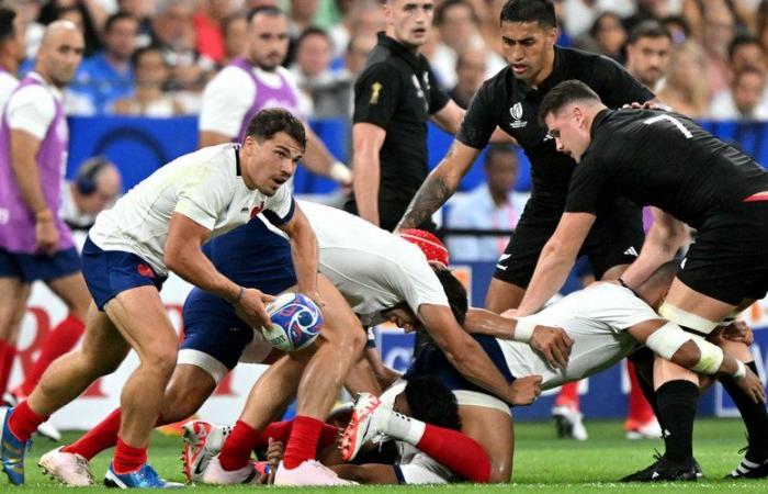 “Surprise”, “furious leaders”… Why the New Zealand Federation is against the French XV regarding the 2025 summer tour