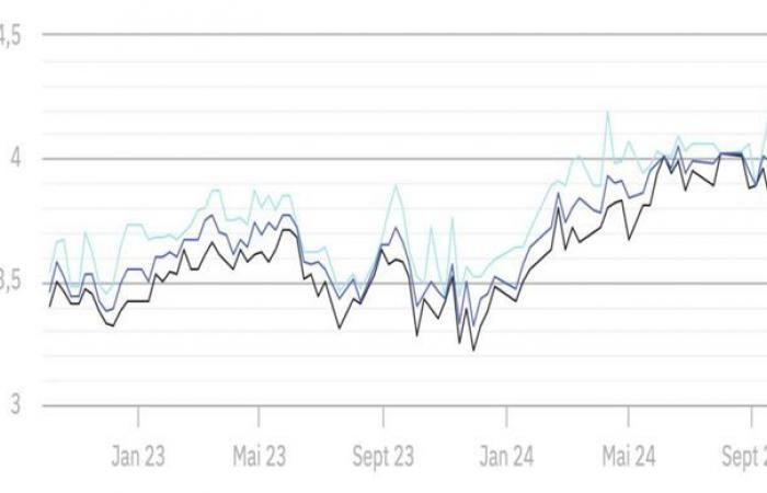 Prices for young cattle stabilize