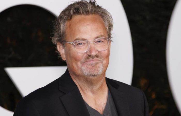 Doctor involved in death of actor Matthew Perry pleads guilty – rts.ch