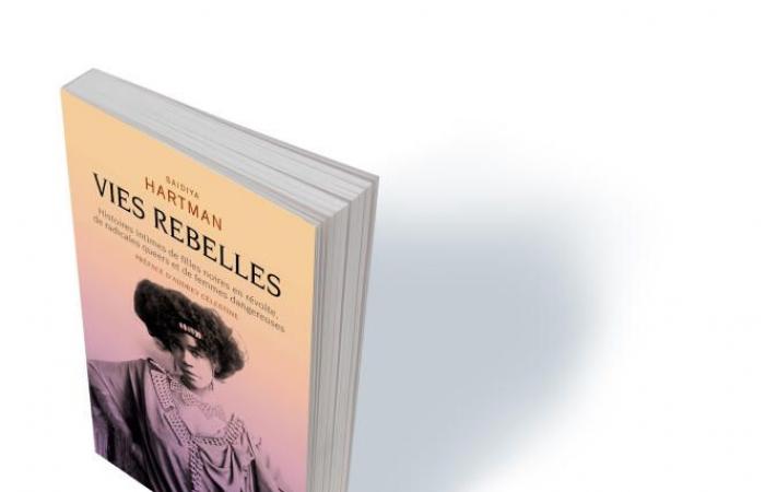 “Rebel Lives”, “The Metamorphoses of the Earth”, “Bruno and Jean”…