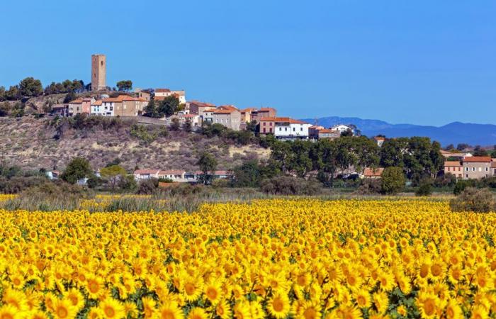 Since Covid, the rural departments of Occitanie are attracting more and more city dwellers, particularly from Ile de France