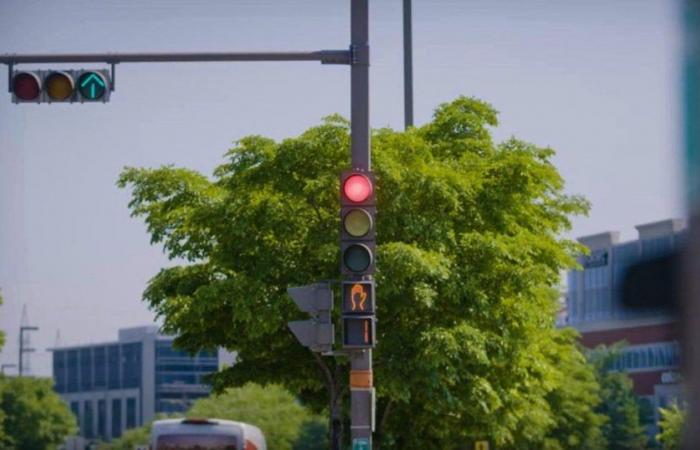 Why is it absolutely necessary to respect traffic lights?