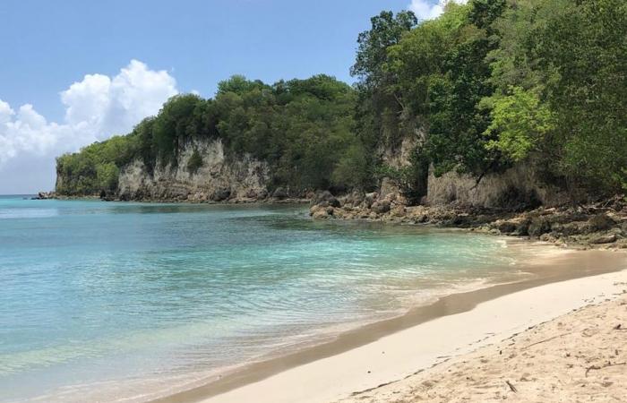 In Guadeloupe, a scientific mission to explore the biodiversity of the small islands of the archipelago