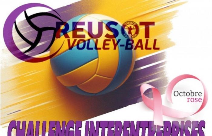 VOLLEYBALL: First inter-company challenge of the season