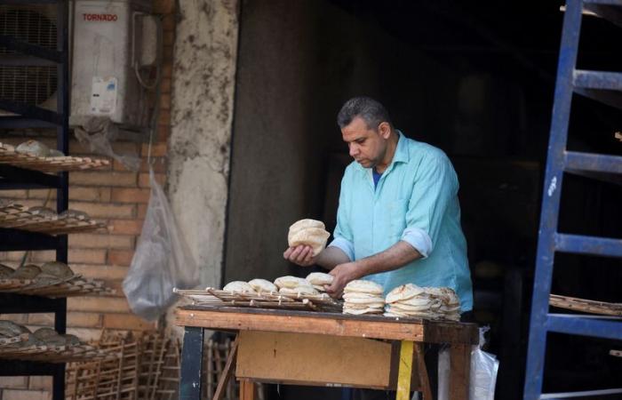 Egypt’s GDP growth slows to 2.4% for 2023/24, planning ministry says