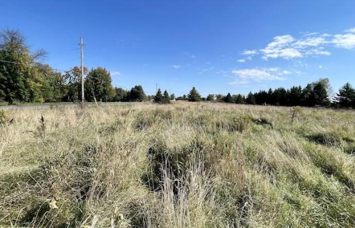 Protecting the prairies of Eastern Ontario