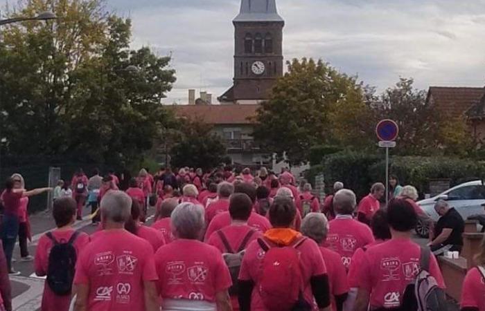 Pink October: the growing success of walks against breast cancer in Alsace