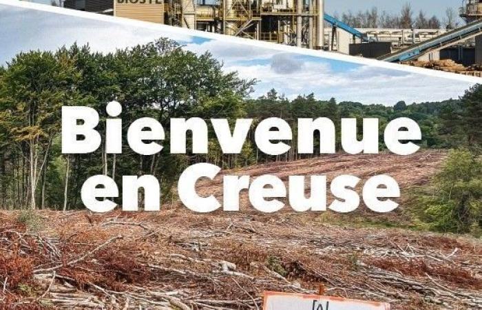 French forests, wood factories?