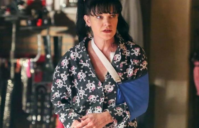 NCIS season 22: Abby finally back? Pauley Perrette refuses to reprise her role, “It took courage to…”