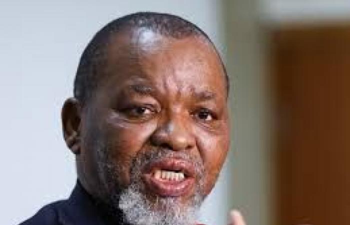 Cape Town: Mantashe headlines African energy event | APAnews