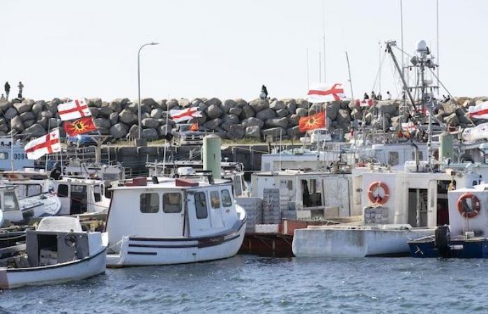 Illegal fishing: Nova Scotia finds that Ottawa lacks control