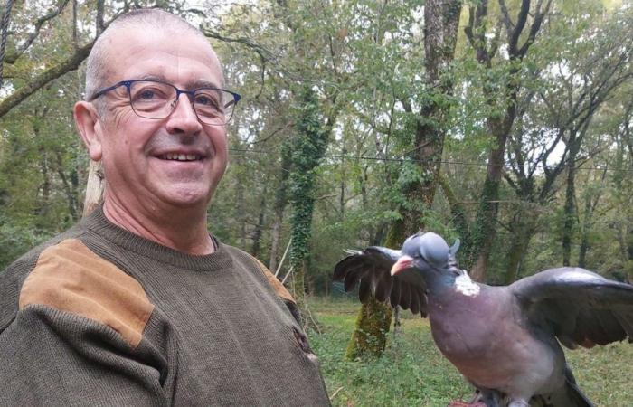 “Don’t touch my palombière”: new mobilization of hunters in Gironde to defend traditional hunts