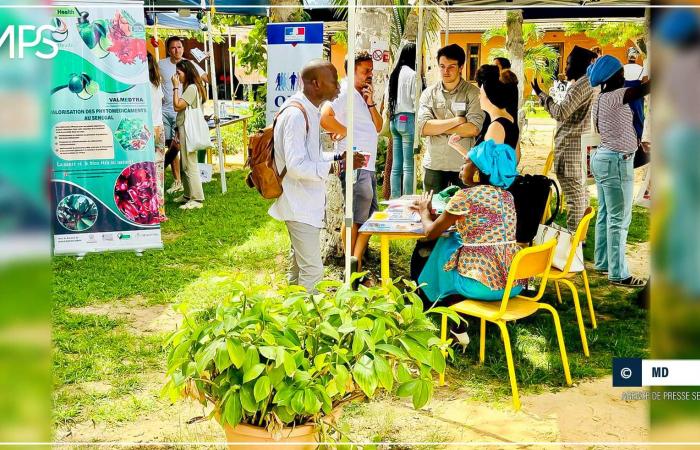 SENEGAL-FRANCE-CULTURE / Saint-Louis: French Volunteer Day celebrated at the French Institute – Senegalese Press Agency