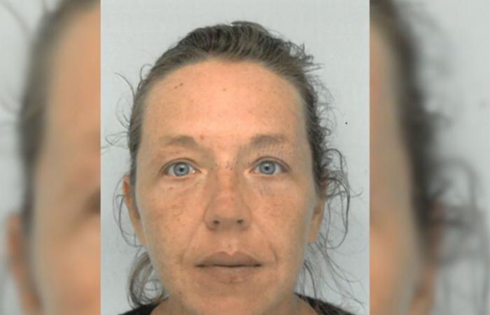 Missing for a month, a 38-year-old woman is actively sought by the gendarmerie in Isère