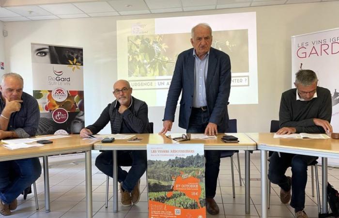 GARD Vignes Réboussières to bring the region to life