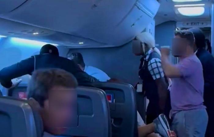 Passengers come to the aid of a woman who was assaulted on the plane