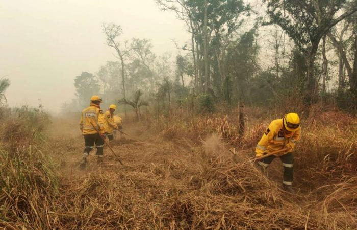 In Bolivia, behind the catastrophic fires, a race for agricultural growth