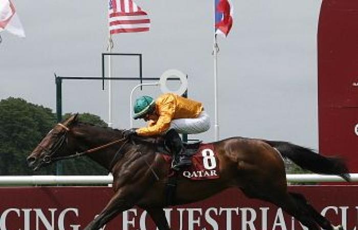 Qatar Prix de l’Arc de Triomphe: Look de Vega can hit his target – Flat