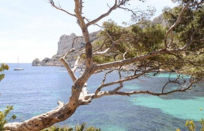 Marseille: car-free day experimented to protect the Calanques from overtourism