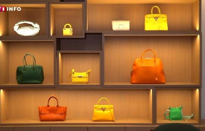 “Prices have increased enormously”: luxury bags, the new target of choice for robbers