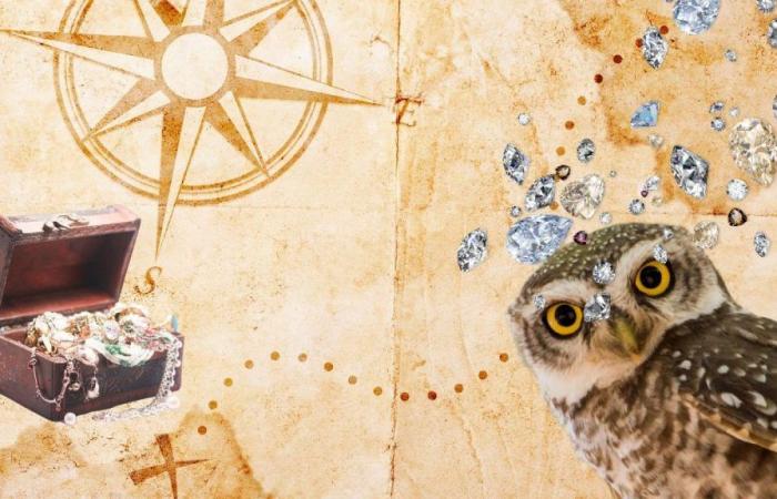 France: the 30-year treasure hunt is finally over for the 150,000 euro golden owl