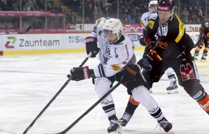 SCB Fribourg Gotteron: Bern defeated Freiburg 6:3