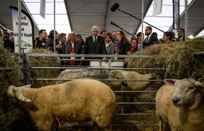 DIRECT. Michel Barnier meets farmers at the Livestock Summit