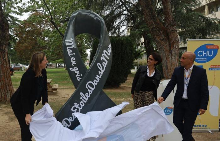 a giant gray ribbon inaugurated at the Gui-de-Chauliac hospital