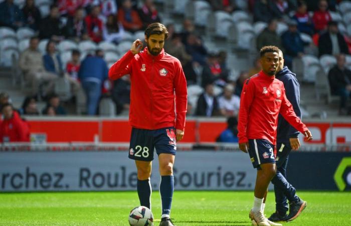 Lille recovers two midfielders before facing Toulouse – Ligue 1 – J7 – Lille-Toulouse