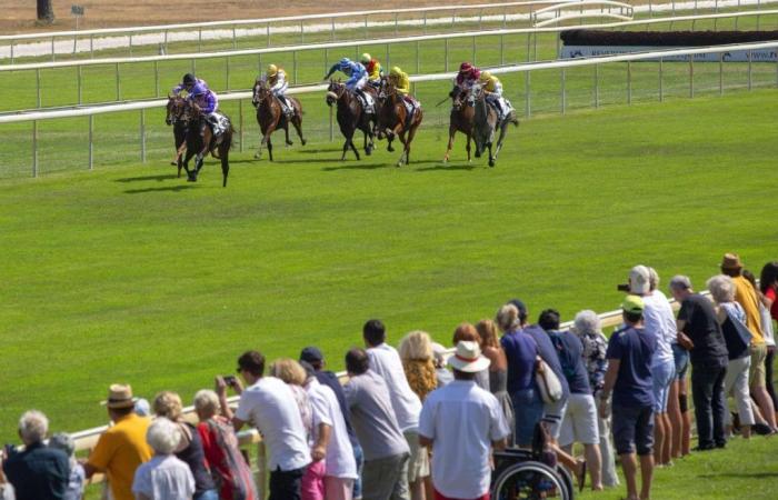 subsidies to take over the track and renovate the racecourse riding arena