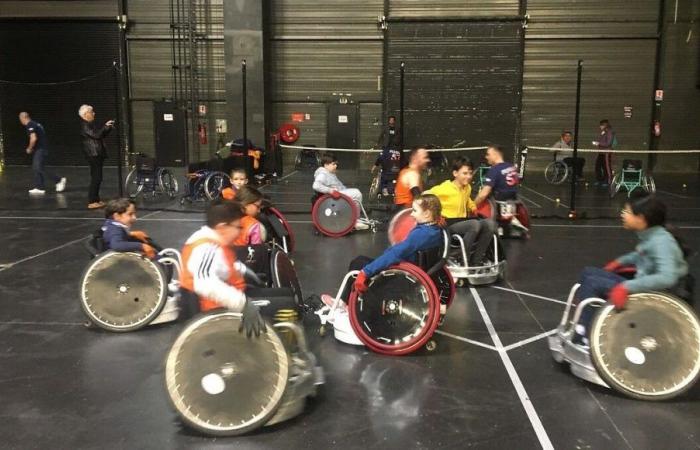 Paralympic Games: “We did not anticipate success in the clubs”, deplores the Moselle Disabled Sports Committee