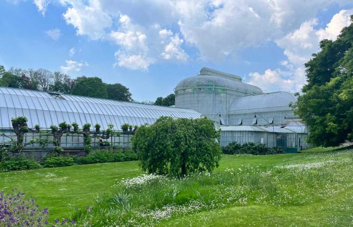 Prince Emmanuel poses in the Royal Greenhouses for his 19th birthday