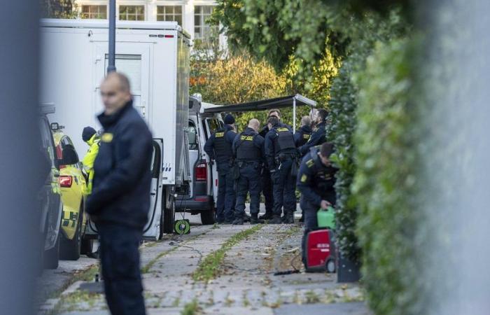 Two Swedish teenagers arrested in Copenhagen following Israeli embassy explosions