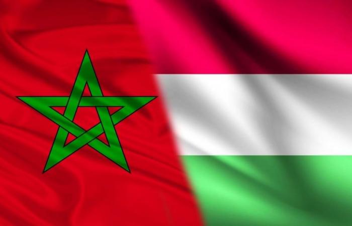 Hungarian Ministry of Foreign Affairs: The EU-Morocco strategic partnership is in “our common interest”