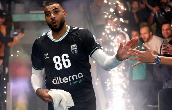 The return of Earvin Ngapeth to Poitiers, a “wave” which boosts French volleyball